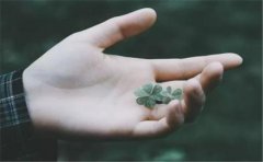 四类手型性格分析 扁型手出轨成常态 方型手感情