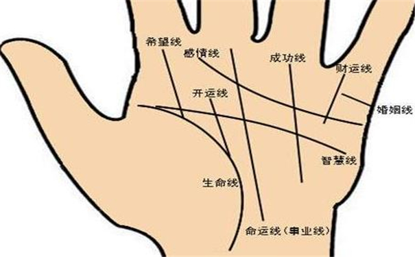 抢功劳者手相