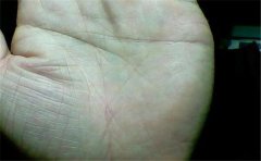 幸福M手纹 做什么工作都会成功