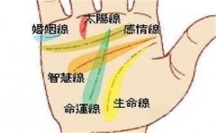 <b>有一帆风顺事业线 无论做什么都会成功</b>