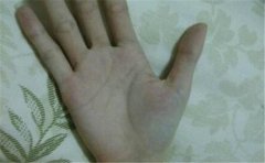 宜晚婚手相分析