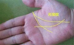 手相视频教你判断财运，财运不好跟手相关系大
