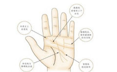 手相学大全告诉你爱吃醋的人手相特征是怎样的