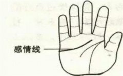 全面解读手相感情线，感情运势要看掌纹的特征