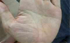 不同五行手相适合的职业