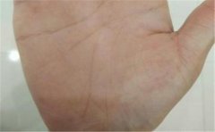 不同形态的事业线运势分析