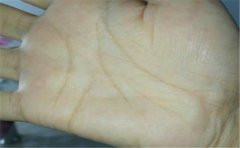 感情不顺的手相常会有以下这些特征，一起来看