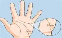 年少有为的手相，有此手相的人年纪轻轻成就也