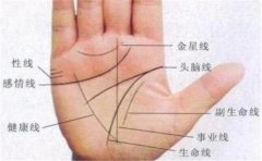 福气手相，女人有此手相才会有福气，让人羡慕