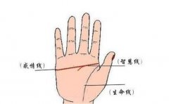 女人手相看命运，通过手相特征提前看到未来