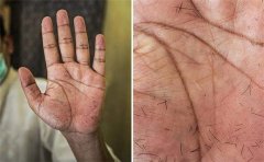 <b>从手掌特征看一个人，非常准，不看就可惜了</b>