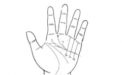 小拇指手相分析个人,特征多代表的含义也多