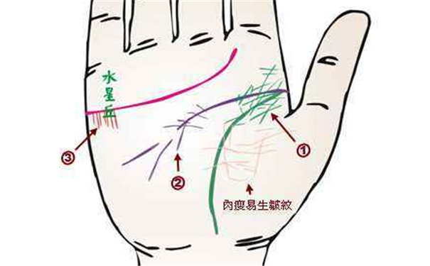 看手掌知疾病