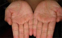 生命线特点决定性格特色