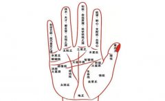 小拇指短手相的男人表现总结，一起验证下正确