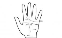 最能吃苦的手相，有此手相特征的人才更容易成