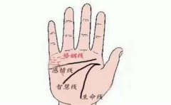 最有经济头脑的手相特征总结，这些人挣钱轻轻