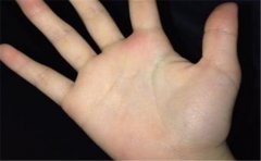 手相五条线解析运势，运势好坏要看其特征来分