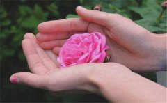 健康欠佳的女手相特征盘点，希望你不要有