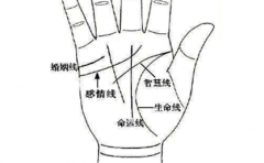 手相感情线图解分析大全