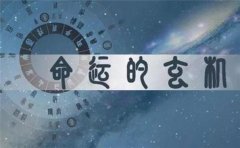 人缘好的生肖和人缘不好的生肖有这些