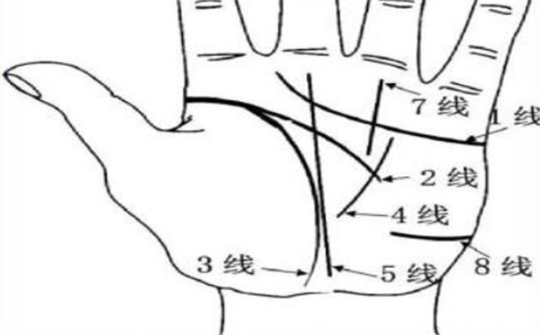 掌纹看病相