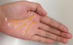 男断掌手相情况多变,需要具体手相具体分析