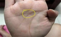 除了手相有口之外,这些特征的人一样有好财运