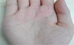 手相上升线于运势的影响分析