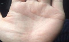 婚姻幸福的手相特征盘点，看完真是让人羡慕