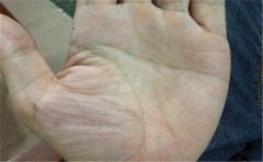 手相的秘密：从三才纹揭秘手相隐含的信息