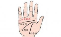 婚姻线分叉手相寓意解析，各有各的寓意，都不