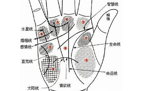 婚姻线手相