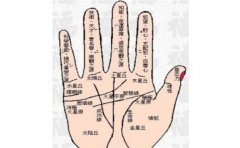 女性手相:这些特征的女人会把日子越过越好