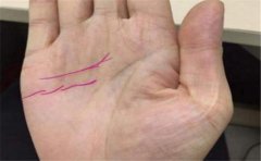 手相有米字纹,必定是大富大贵的手相