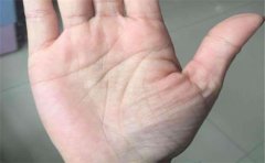 手相有米字的你,可是很享福的人