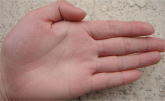 好财运手相，以女人手相为例进行分析