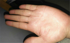 事业线特征告诉你，这些手相的人职场上易遇贵