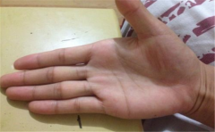 手相五指暗含很多的命理信息，不知道你是否发