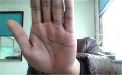 性格和运势如何，都跟手相五指长短有很大的关