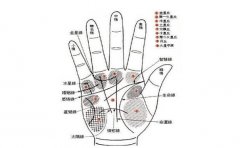 分析凤尾纹手相好不好