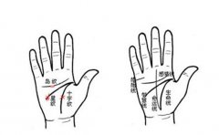 解读横财命手相有哪些