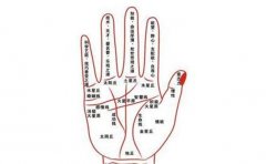大横财的手相特征分析