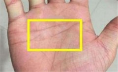 吉利手相特征分析