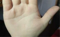 了解一下吉利手相长什么样