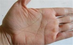 感情线特征看经历和运势,真的很准,不看可惜