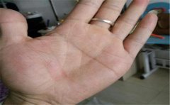 手相学大全分析魅力爆表之人的手相特征