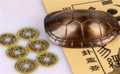 我们一起来看看长寿的生肖有哪些