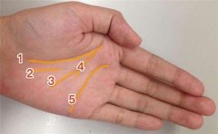 无名指手相特征看感情和婚姻运势,赶紧了解一