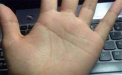 看看成功男士手相有哪些